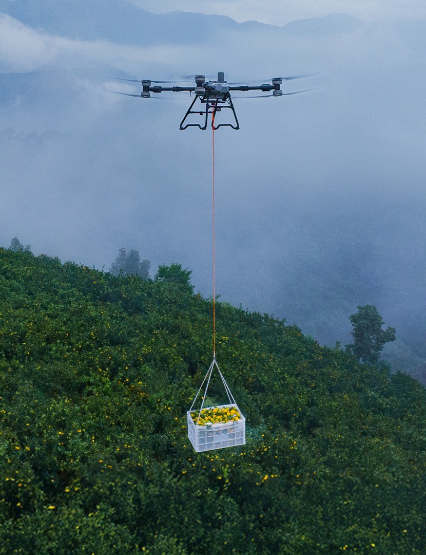 Product features 4 image 1759322845352 1756214454902 t100 orchard