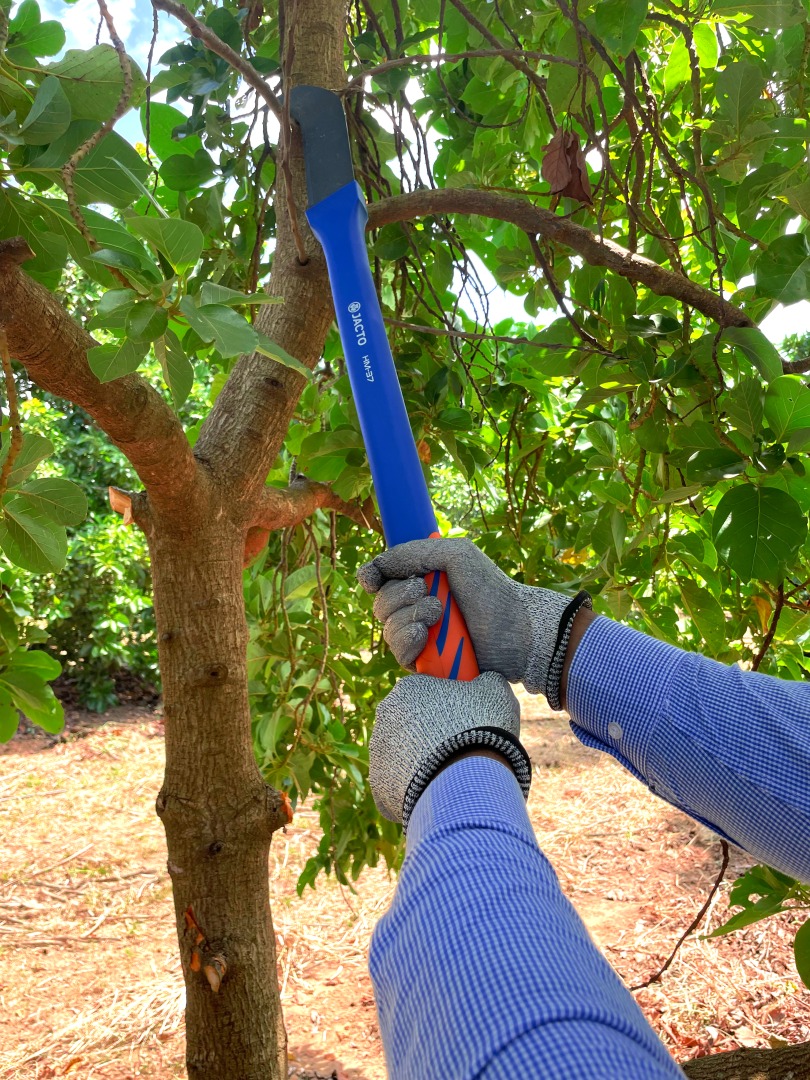 Product features 4 image 1774893033715 hm 37 abacate 2