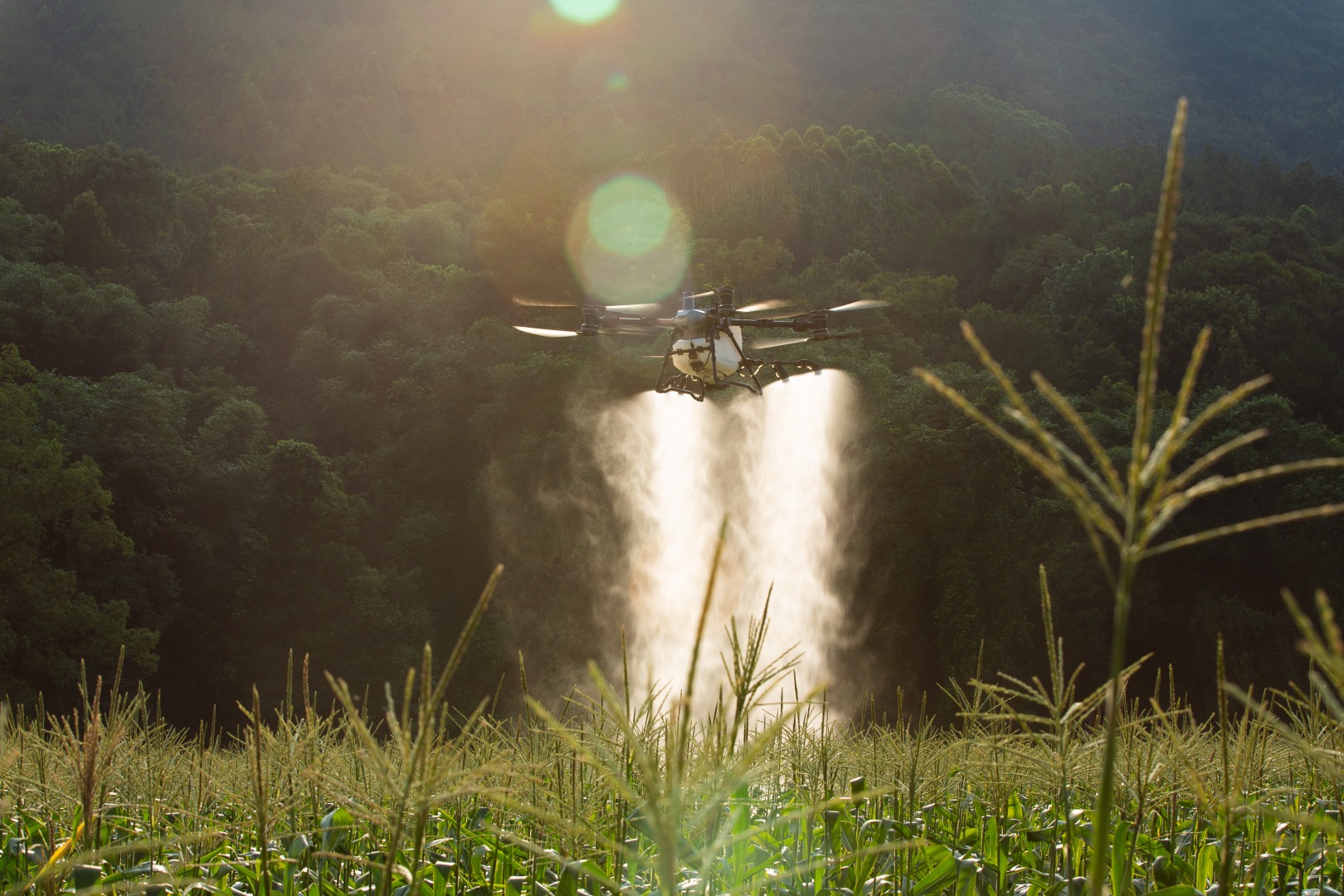 Product gallery 0 1756212532745 0s3b4219