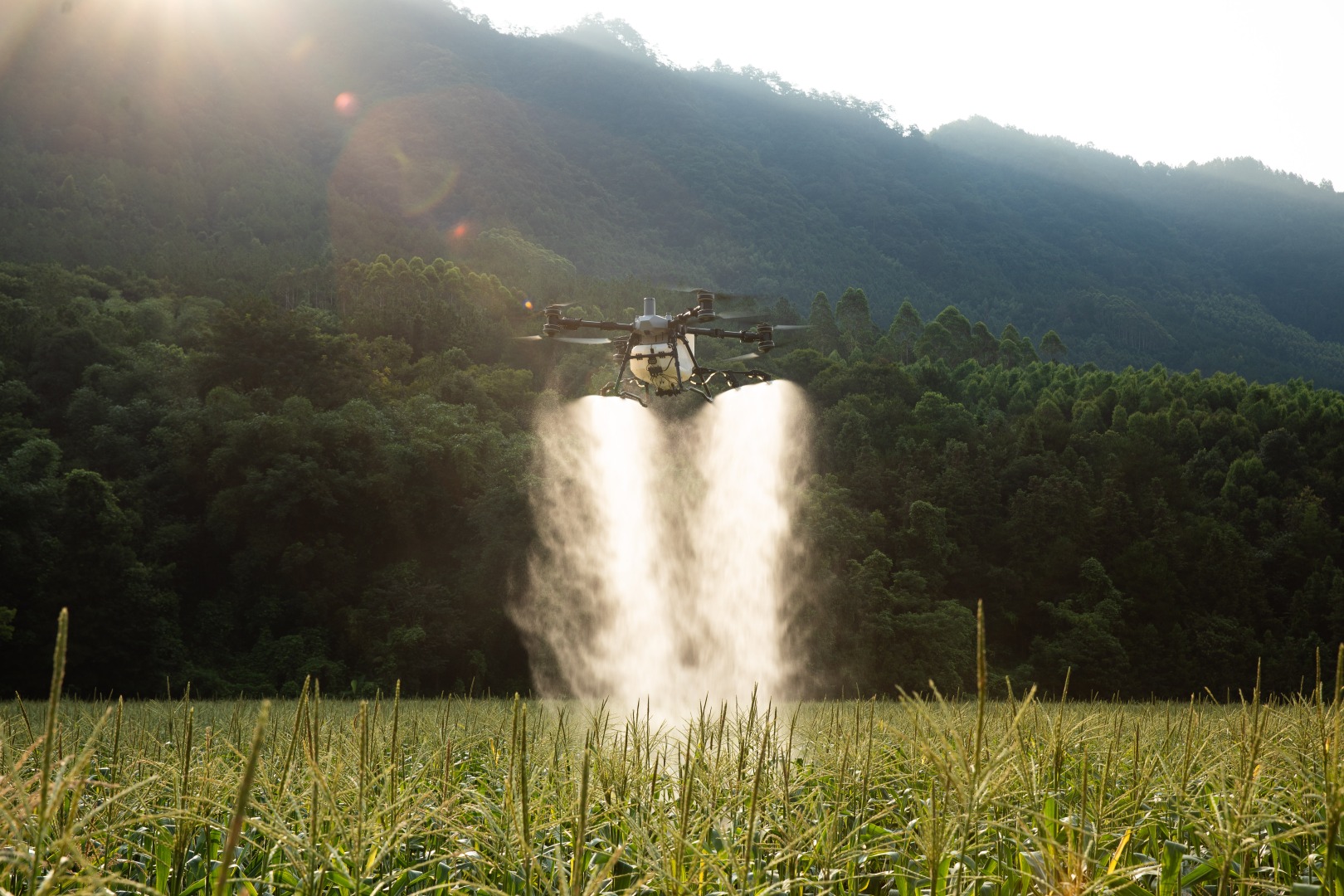 Product gallery 2 1756212532745 bi5a2847