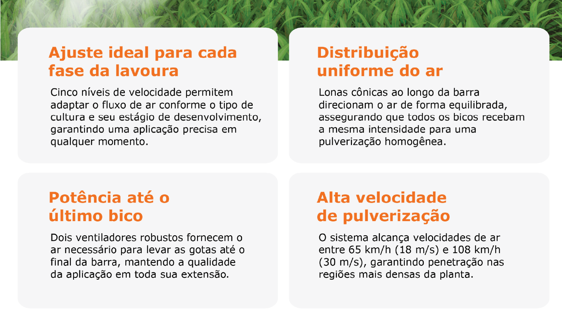 Product gallery 7 1770516907758 1prancheta 8