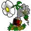 Foreman 11028289 3277 plantsvszombies 0000 64x64