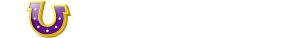Lucksome logo