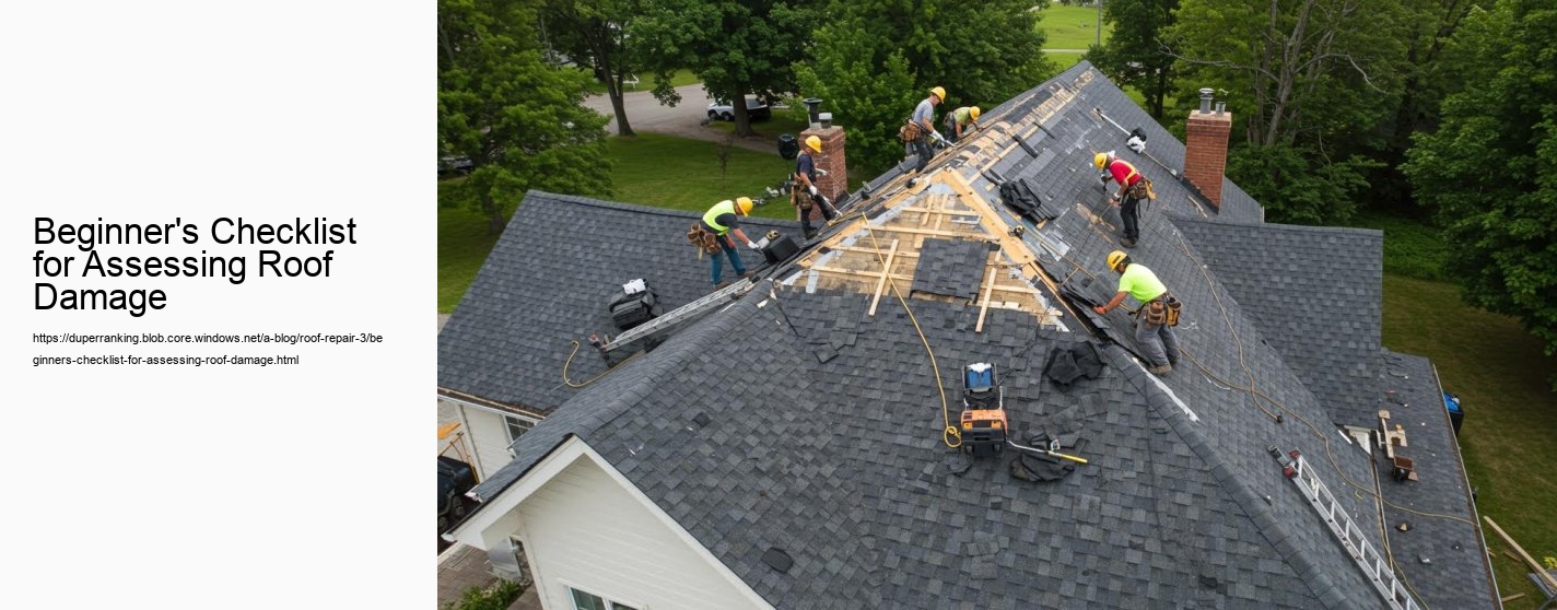 Beginner's Checklist for Assessing Roof Damage