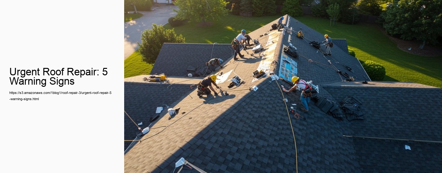 Urgent Roof Repair: 5 Warning Signs