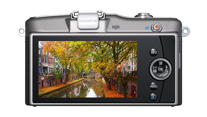 E-PM1-Silver-Detial-2.jpg?1383932634