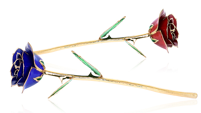 REALROSE-BLUE-COMPILED-MAIN_2584_0.jpg?1