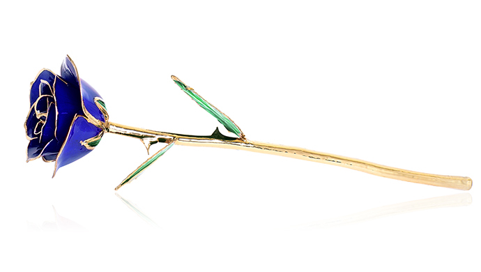 REALROSE-BLUE-MAIN_2584_0.jpg?1385504651