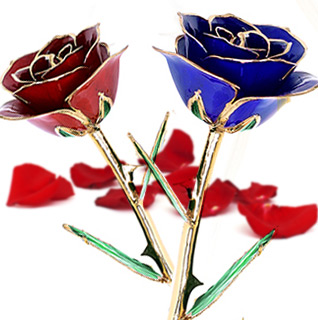 blue-rose-thumb_2584_0.jpg?1385504654