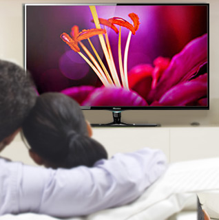 hinsense-thumb.jpg?1388532824