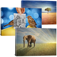 BHE44-THUMB.jpg?1389971769