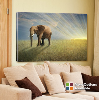 canvas-art-NL.jpg?1389990512