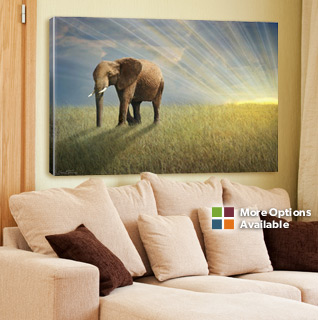 canvas-art.jpg?1389990523