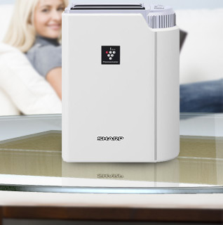 air-purifier.jpg?1390867903