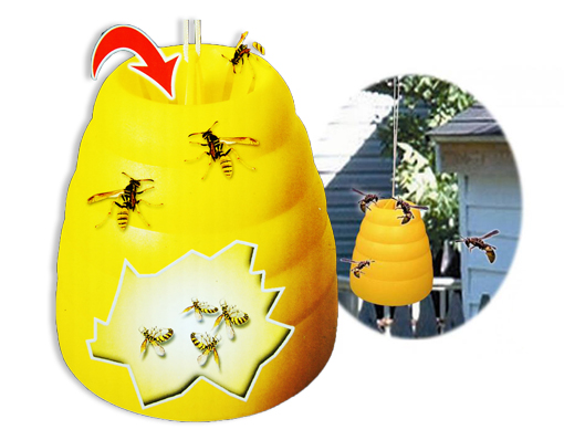 Bee Hive Wasp Trap