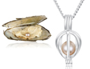 Clam_box_set-2_thumbnail_22153_0_26846_0_6823_0_12310_0