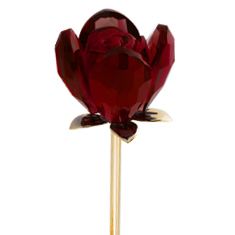 SVDCRYSROSE-THUMB.jpg?1398781490