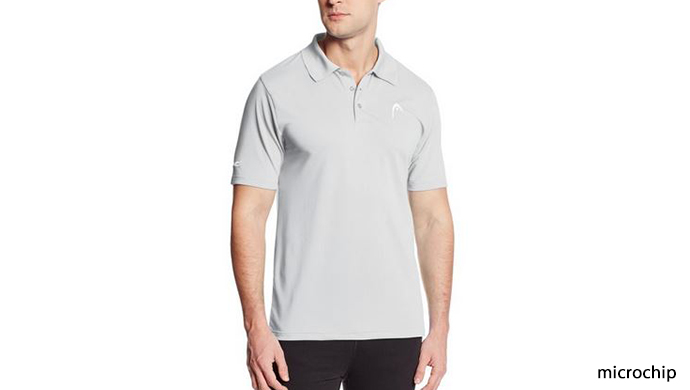 microchip.JPG?1399323676