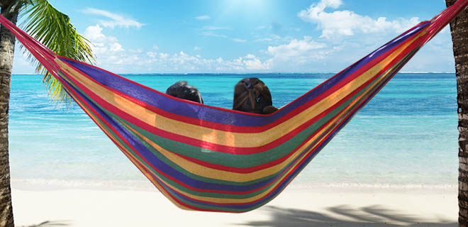 DC0279_HB.jpg?1403101134