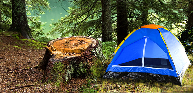 80-170T-ht.jpg?1403192033