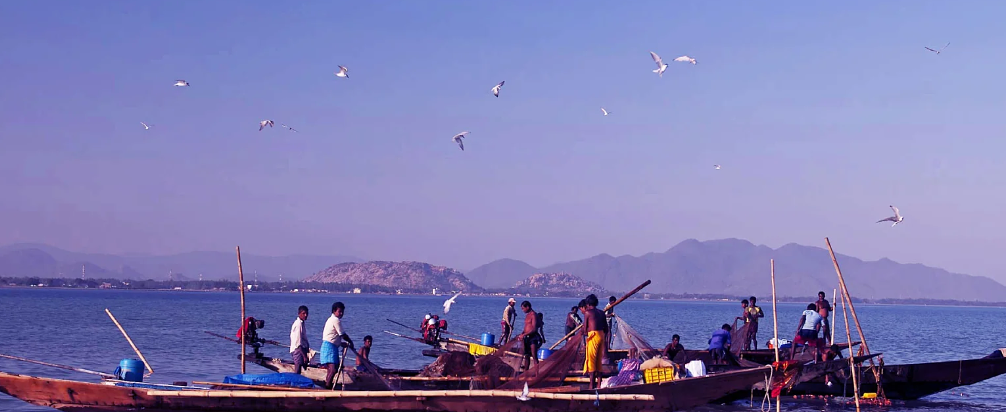 Chilika Lake Tour from Puri for Amazing Experience 