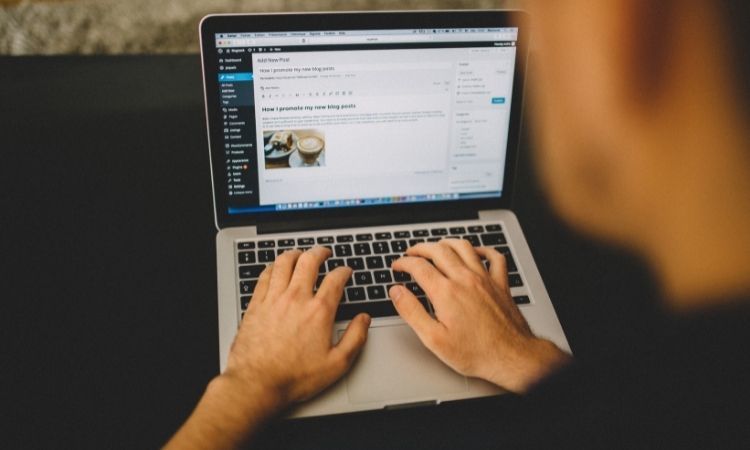 Freelance WordPress Plugin Developer