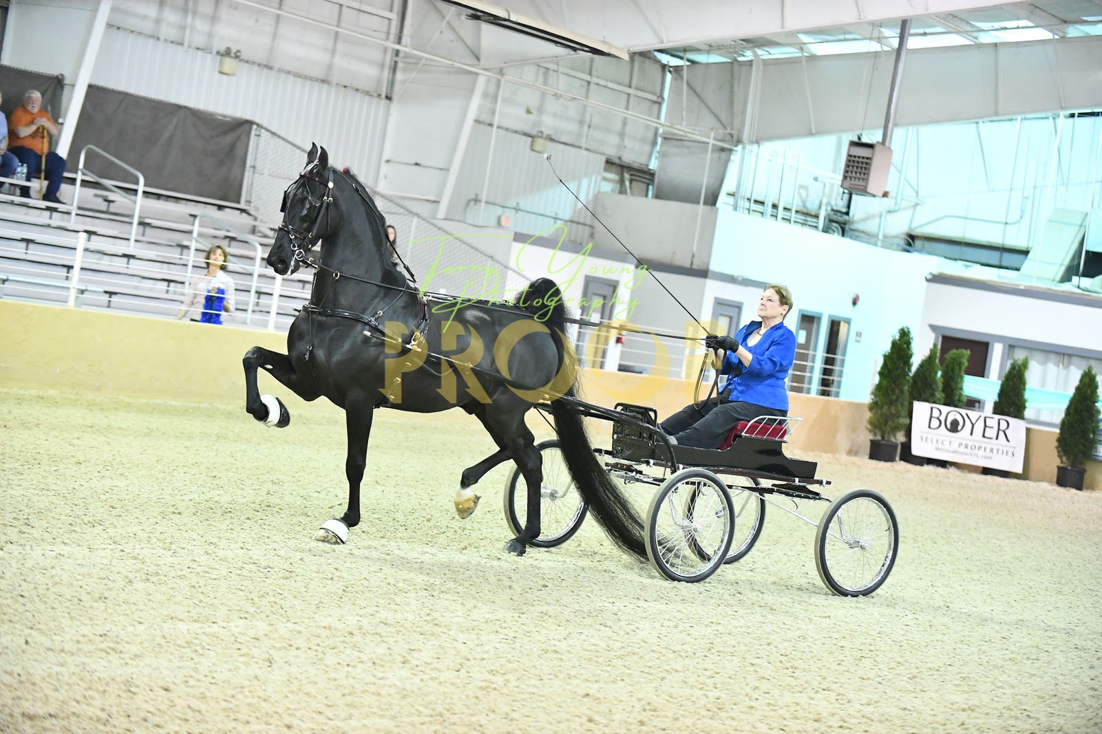 Sat. Evening 600pm Classes 120142 Horse Show Proofs 2024 C.) Bridlespur Horse Show