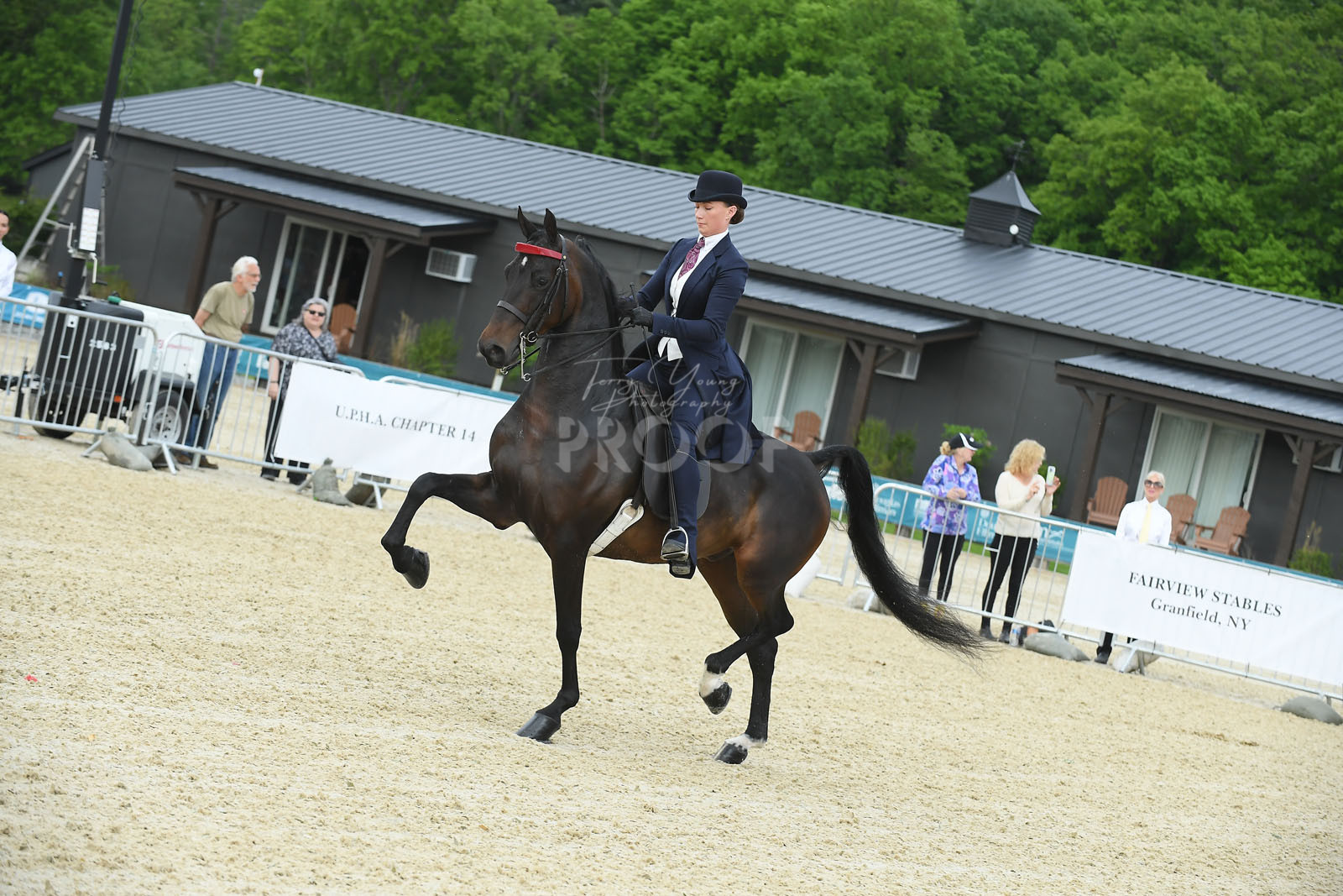 Wed. Evening 600pm Classes 0120 Horse Show Proofs 2024 F