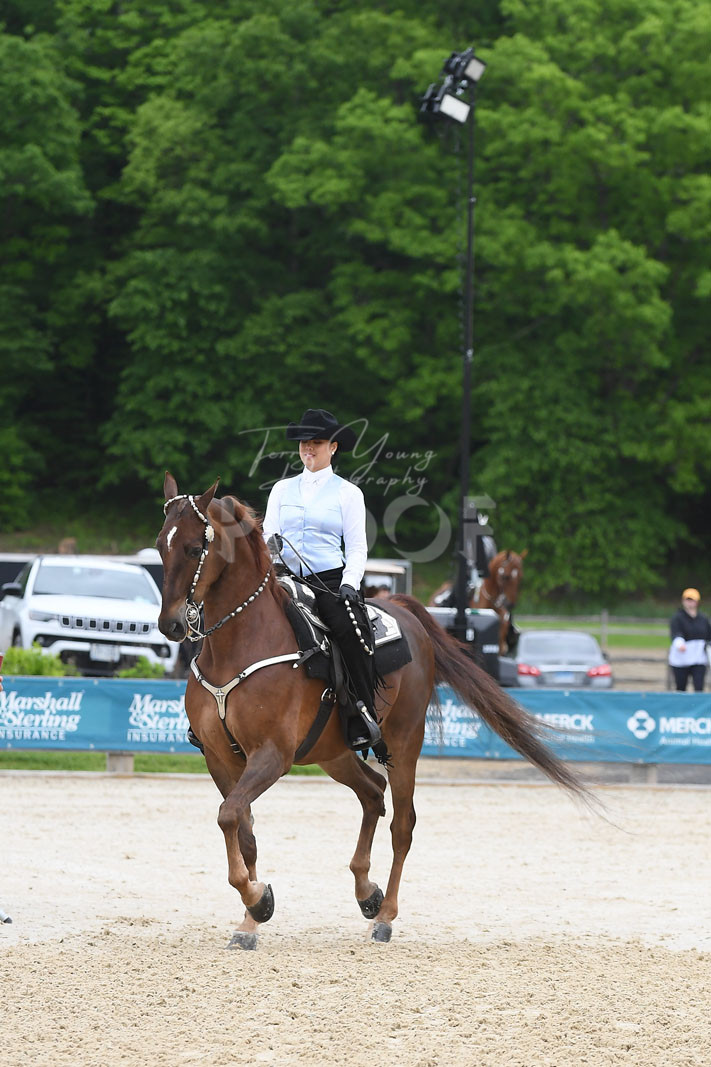 Thur. Morning 1000am Classes 2151 Horse Show Proofs 2024 F