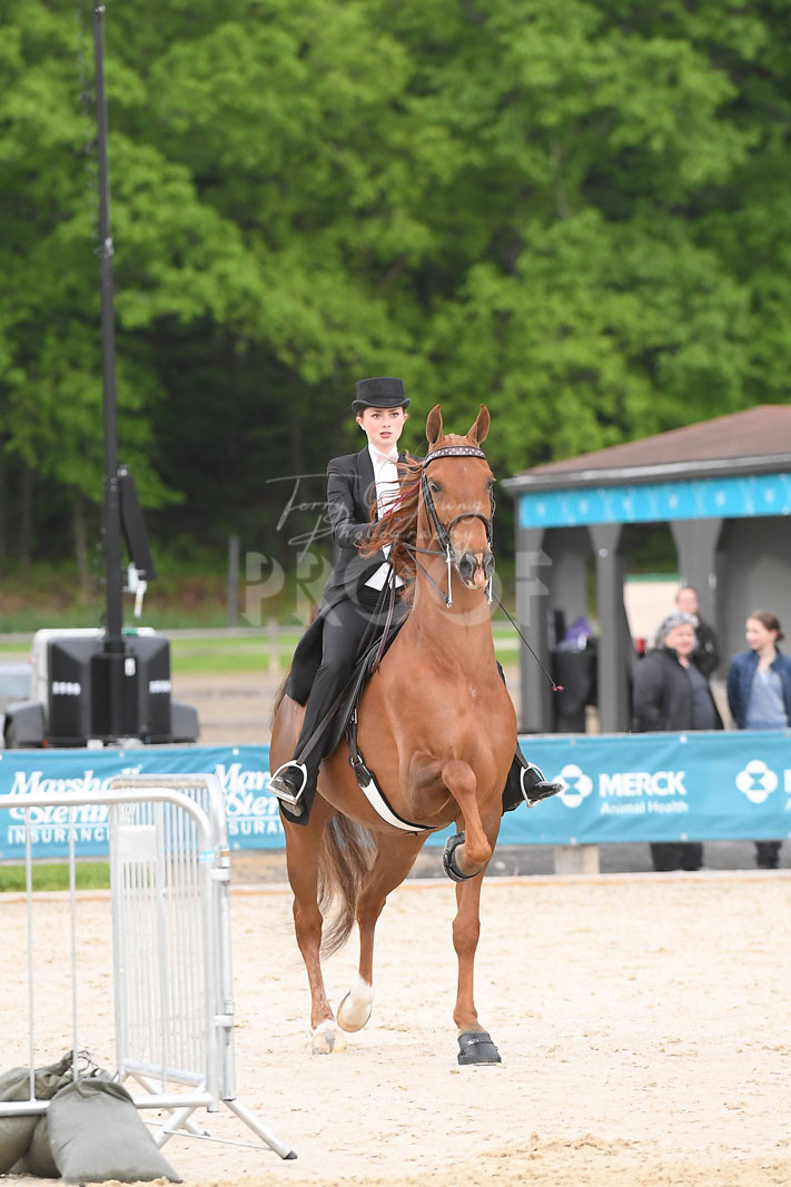 Thur. Evening 600pm Classes 5271 Horse Show Proofs 2024 F