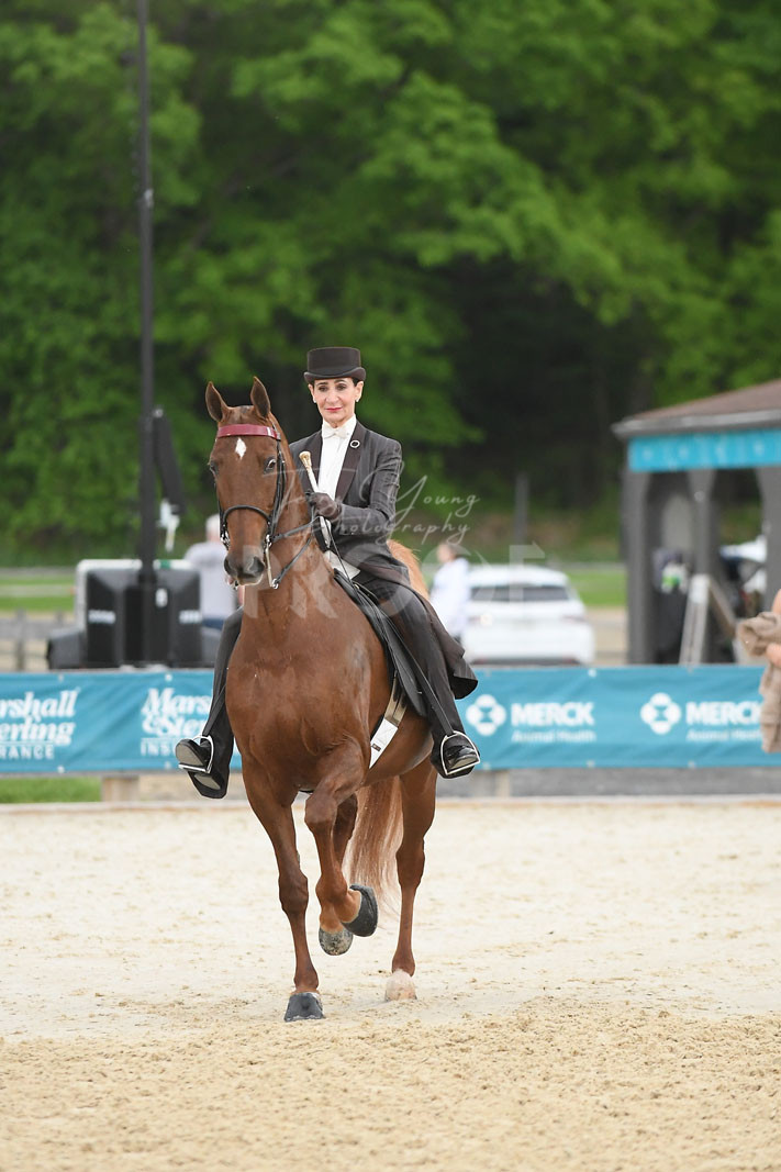 Fri. Evening 600pm Classes 102122 Horse Show Proofs 2024 F