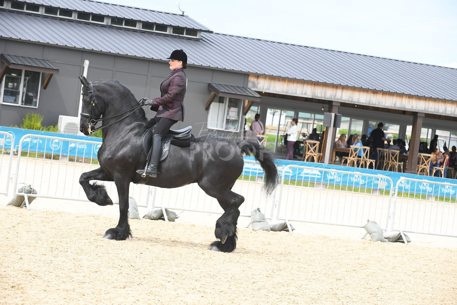 Sat. Noon TBA Classes 140162 Horse Show Proofs 2024 F