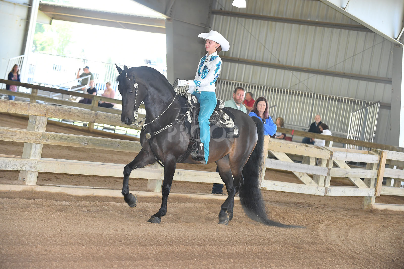 Thur. Morning 1000am Classes 0127 Horse Show Proofs 2024 K