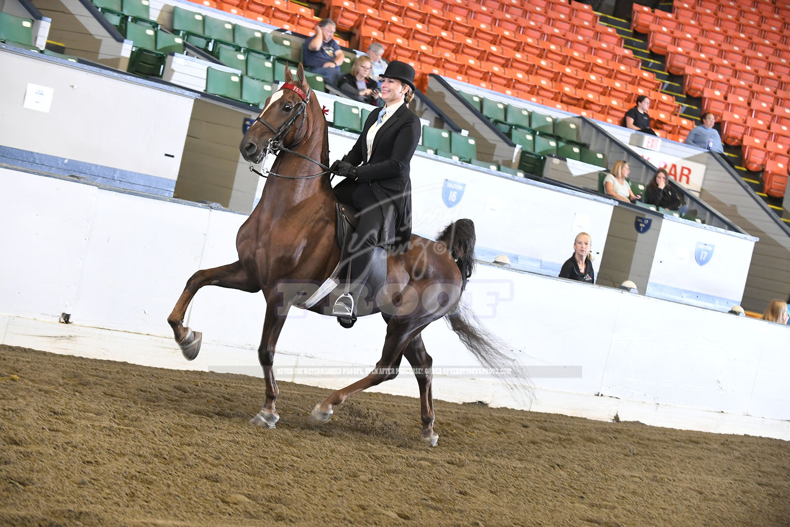 Sat. Morn 9:00am - Classes #086-103 - 096.) OPEN PLEASURE DRIVING PONY ...
