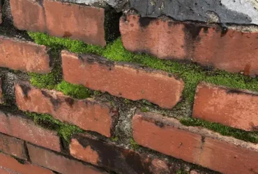 Troubleshooting Leaks in Shared Chimney Stack in Indiana