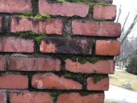 Dangers of Rain Dripping in Indiana Fireplace