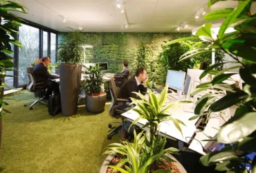 Understanding the Business of Outsourcing Inc