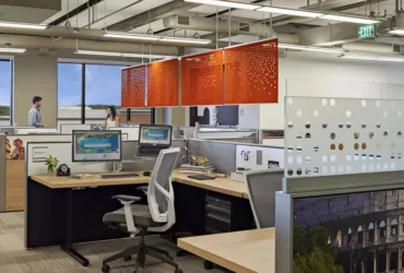 Understanding the Role of RPO Call Center