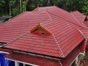 Roof Renovator: The Journey of Ronnie the Roofer