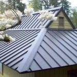 Seeking a Roofer Near 19108? Look No Further Than These Pro Tips!