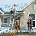 Shining a Light on Professional Roofing and Solar Solutions