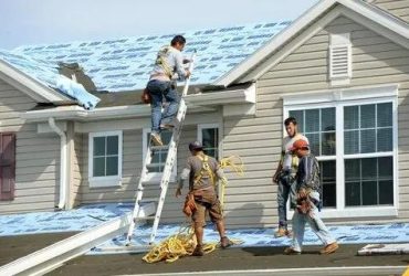Shining a Light on Professional Roofing and Solar Solutions
