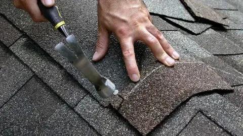 Locating Top TPO Roofing Contractors Nearby