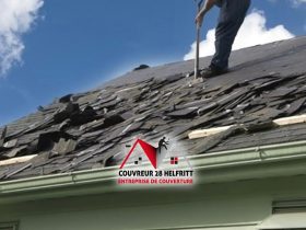 The Melodic Sounds of a Roofer Tooting