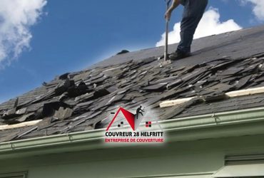 The Melodic Sounds of a Roofer Tooting