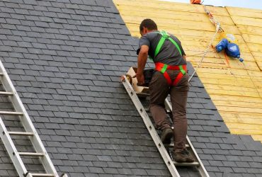 The Quiet Strength of a Humble Roofing Company