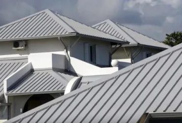 Sustainable Solutions: The Rise of Green Roofing