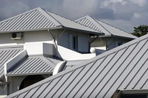 Sustainable Solutions: The Rise of Green Roofing