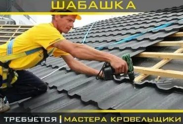 Mastering Home Depot’s Roof Repair Solutions