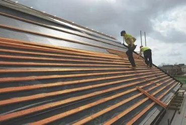 Growing Up: The Sustainable Solutions of The Green Roof Company
